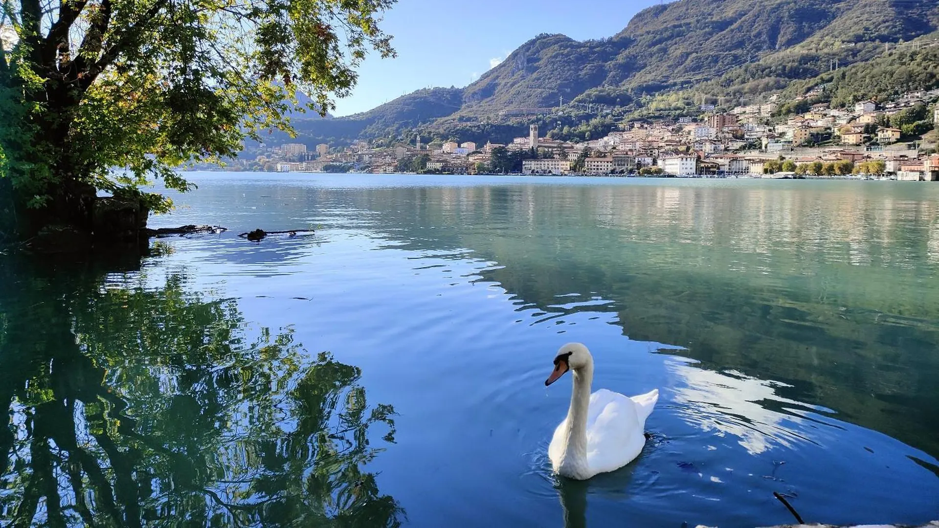 Sun&Lake Apartment - Sunny Apartment In Lovere